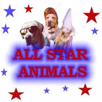 All Star Animals