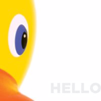 Big Yellow Duck