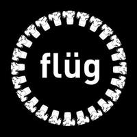 Flug