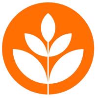 BrandNewSchool